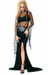 View Item Special Offer Size 6 - 8 Night Widow Halloween Witch Fancy Dress Vampire Costume